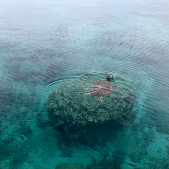 anel-van-dyk-2HBYQlL-4SM-unsplash