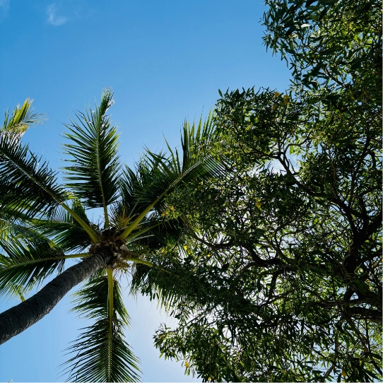 jacob-cartwright-FVURbP8kzhE-unsplash