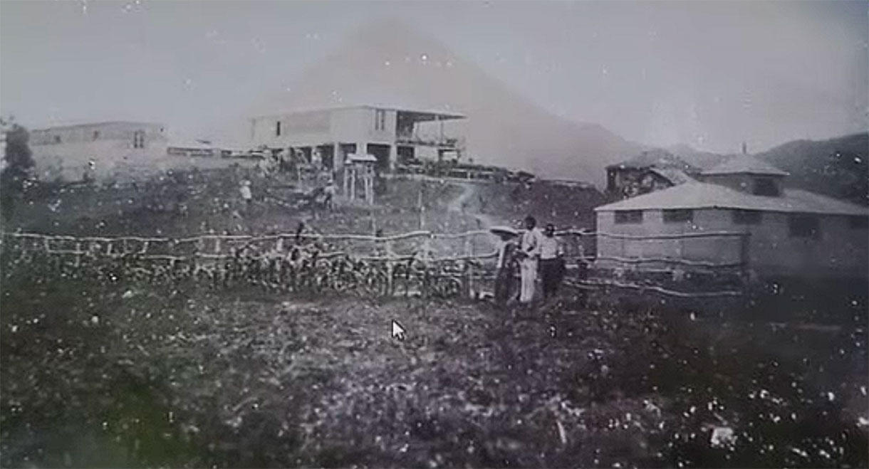 goupil